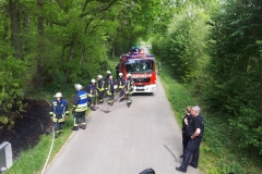 09.05.2018-Flaechenbrand-10