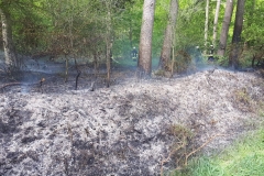 09.05.2018-Flaechenbrand-Ki